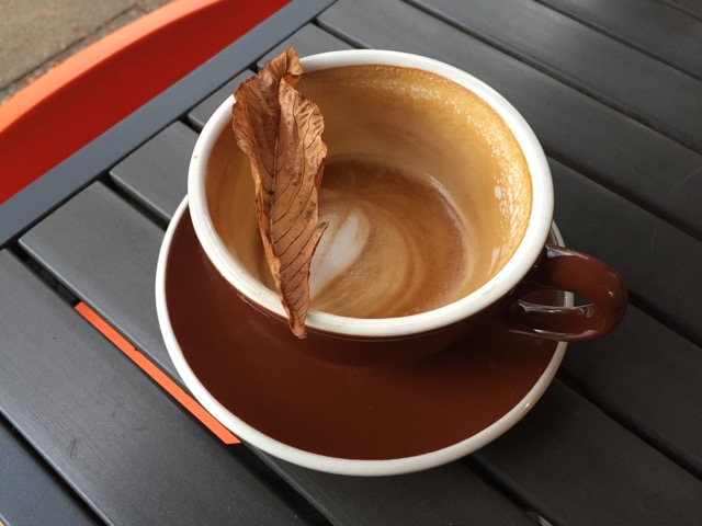 22_GS_101 A Leaf Fell