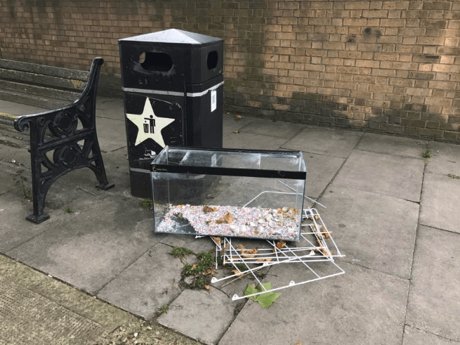 13_Lesley Hartley_aquarium