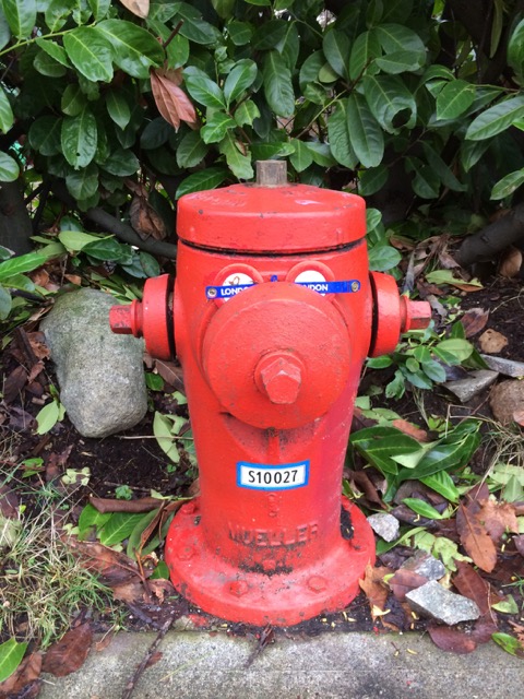 22_105 London Calling-GS