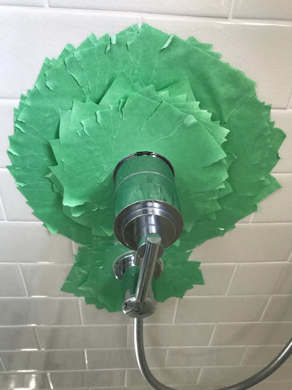 10_RT_green_flower_shower