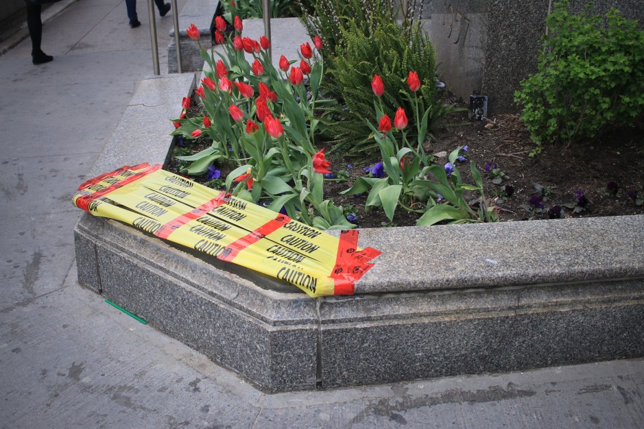 12_SL_Broken Flower Bed