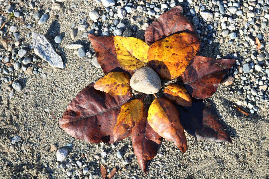 15_Leaf Flower_Emily