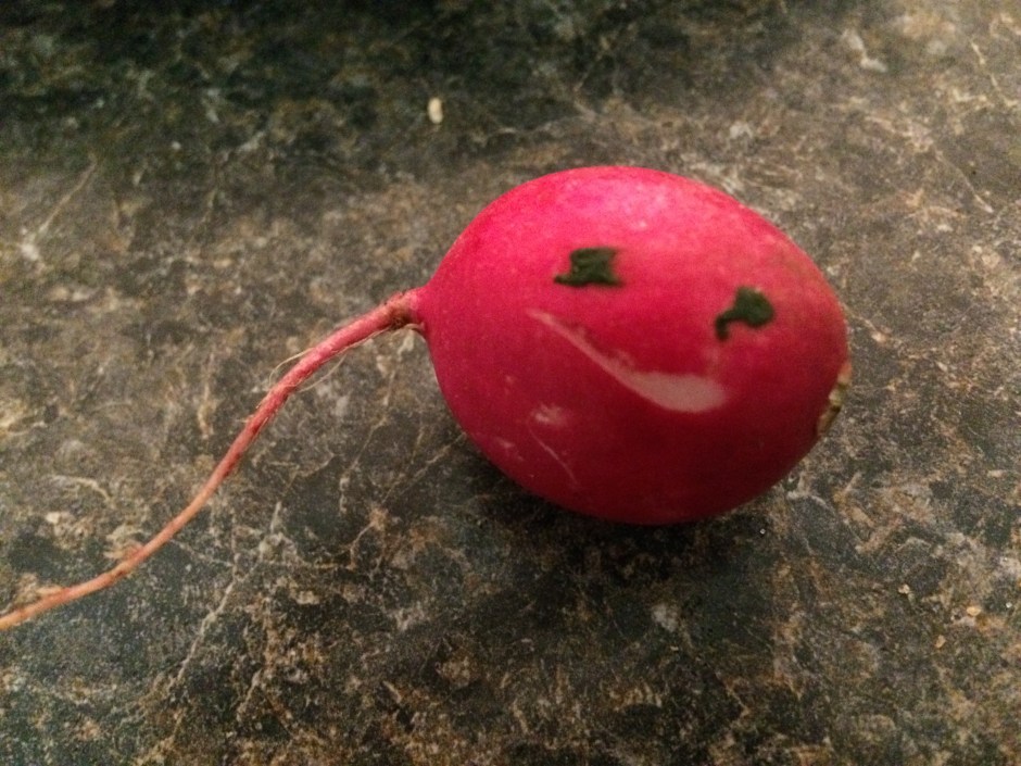 21_SG_radish_face