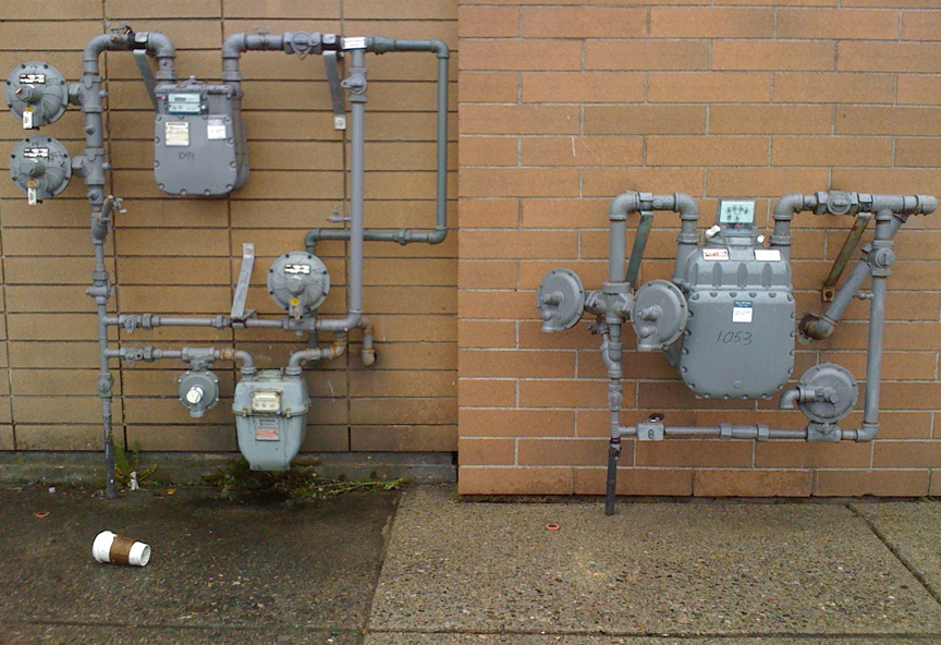 29_Rose_April21_2017