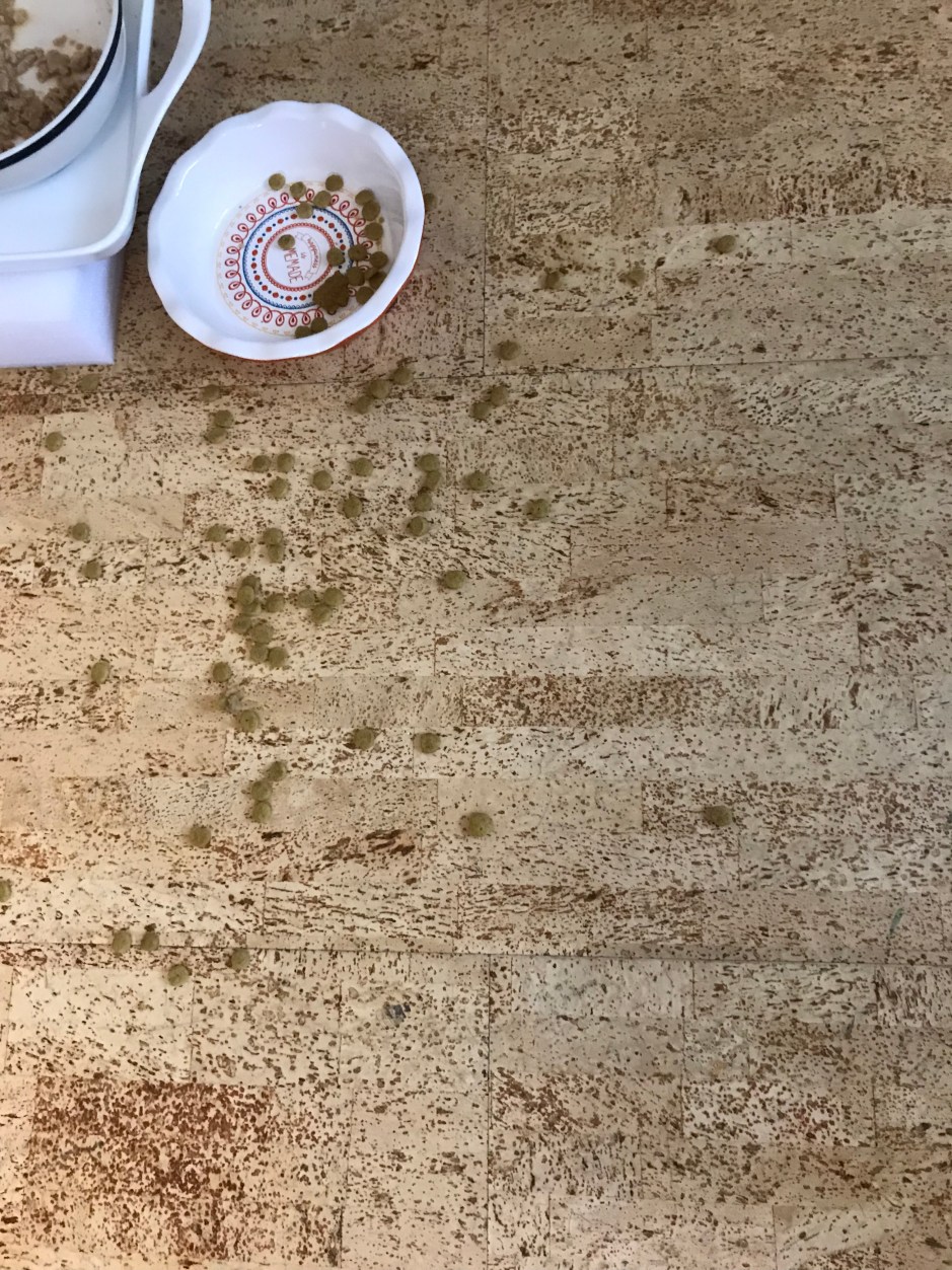 08_Lesley_gorlitz_beans