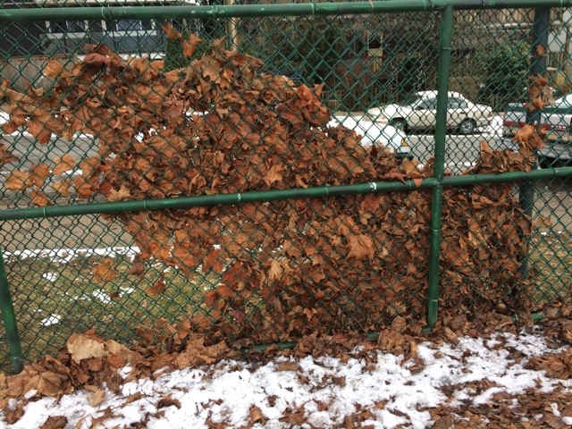 22_GS_108 Waving Leaves