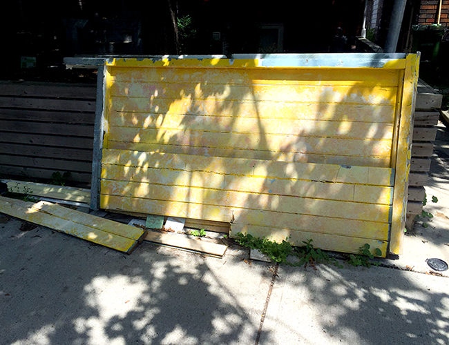 02_JR_Yellow Wall and Tree Shadows