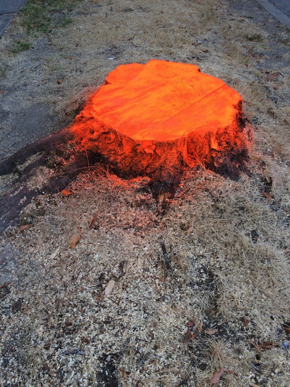 01_136 Tripping Hazard-GS