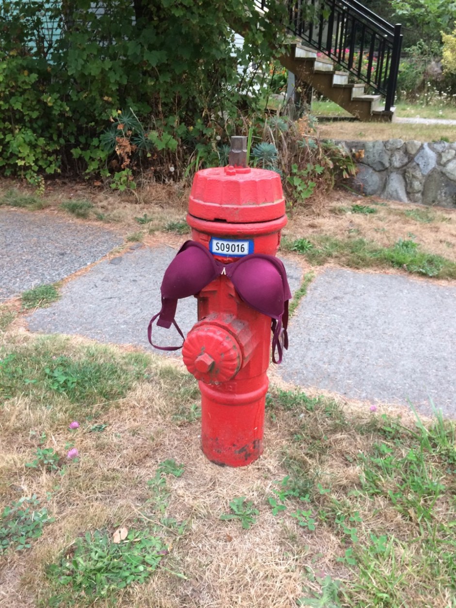 03_137 Victoria's Secret-GS