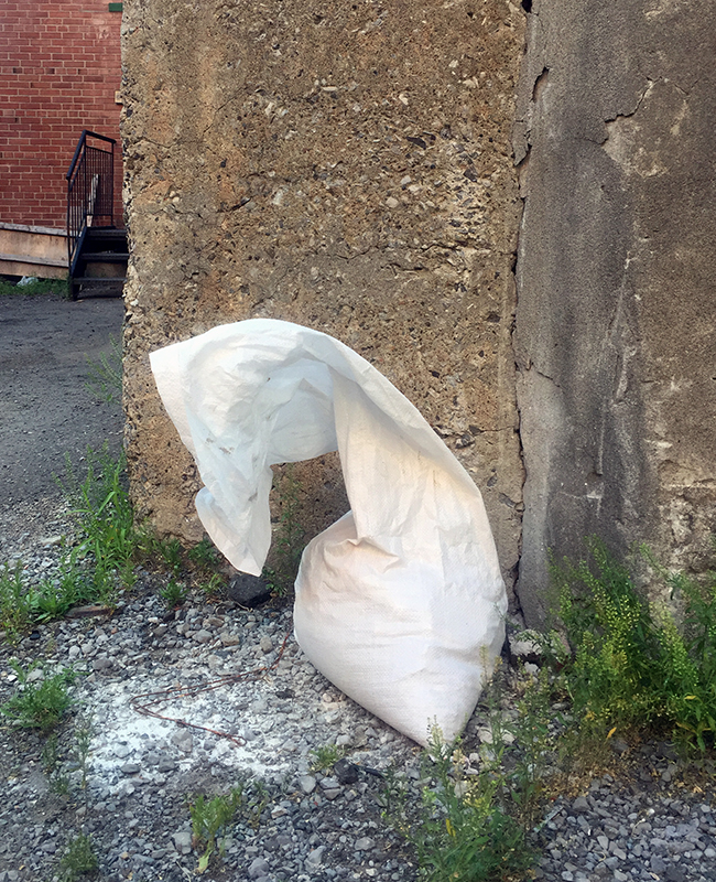 10_JR_Horse Sandbag