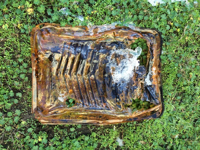 13_106 Rumpled Paintskin-GS