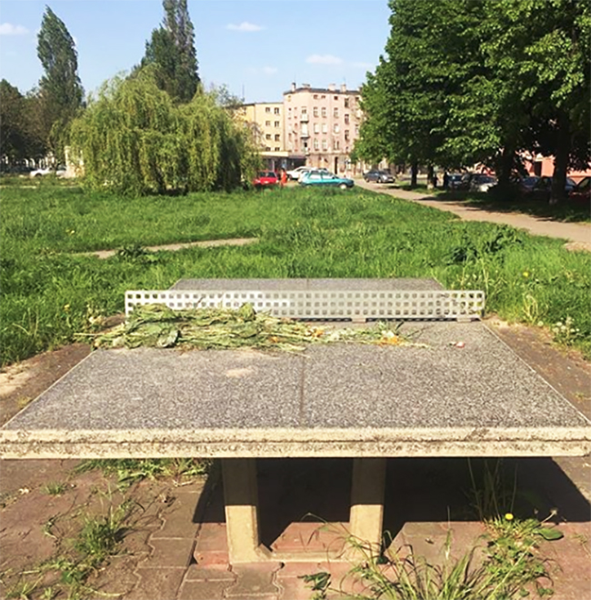 14_EarlSAD3_Summer2018