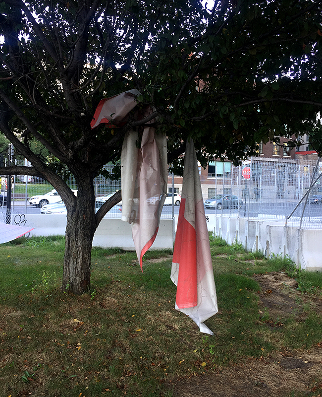 10_JR_Construction Banners in a Tree