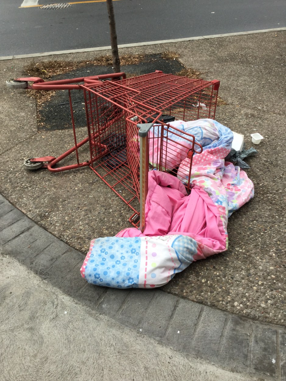 24_Andrew_McPhail_shoppingcart