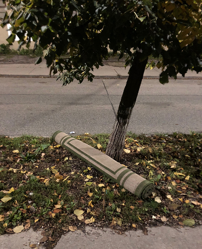 27_JR_Tree Trunk Carpet