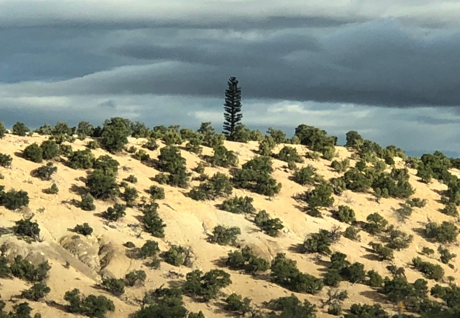 23_fastwurms_SAD 01:19