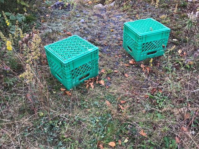 04_Barbara_crates