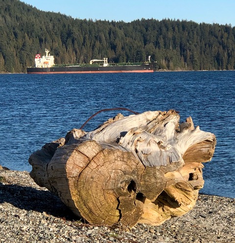 22_Jillian_McMillan_tree