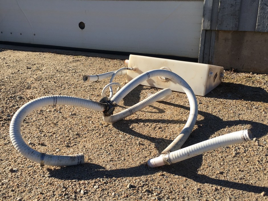 30_TerriWhetstone SADJune2019