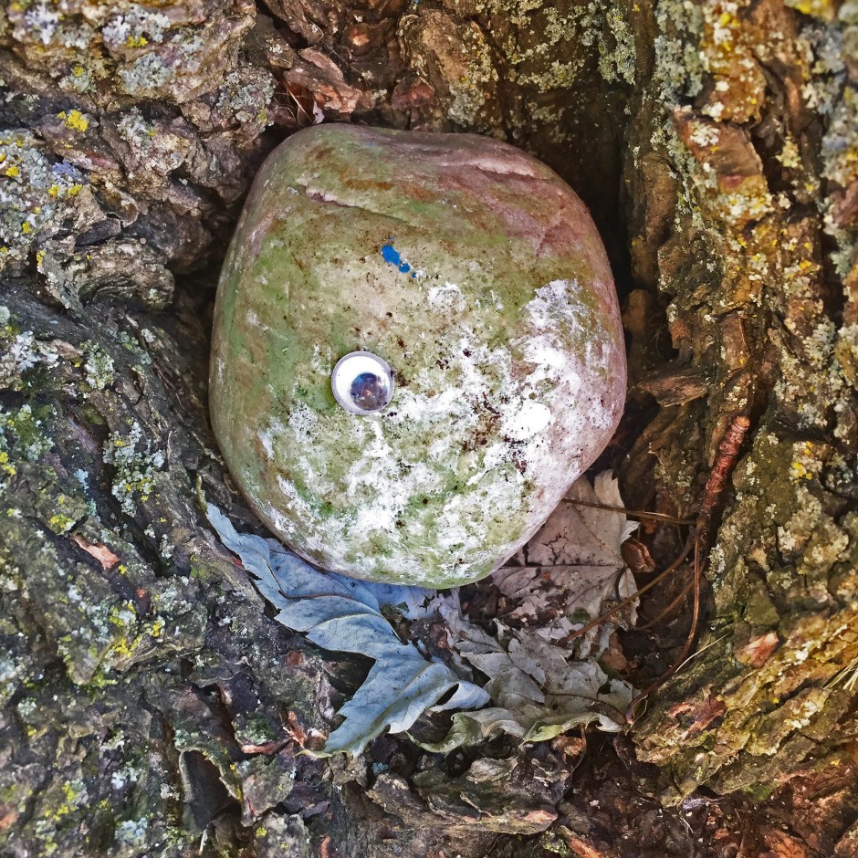 27_SAD1_Miller_July2019