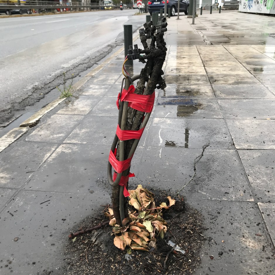 01_Christof_IMG_1362