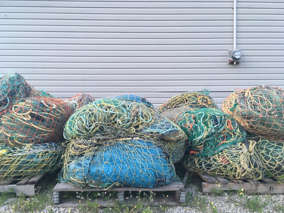 16_TerriWhetstoneSAD1Sept2019