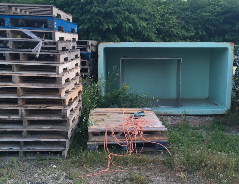 25_TerriWhetstoneSAD2Sept2019