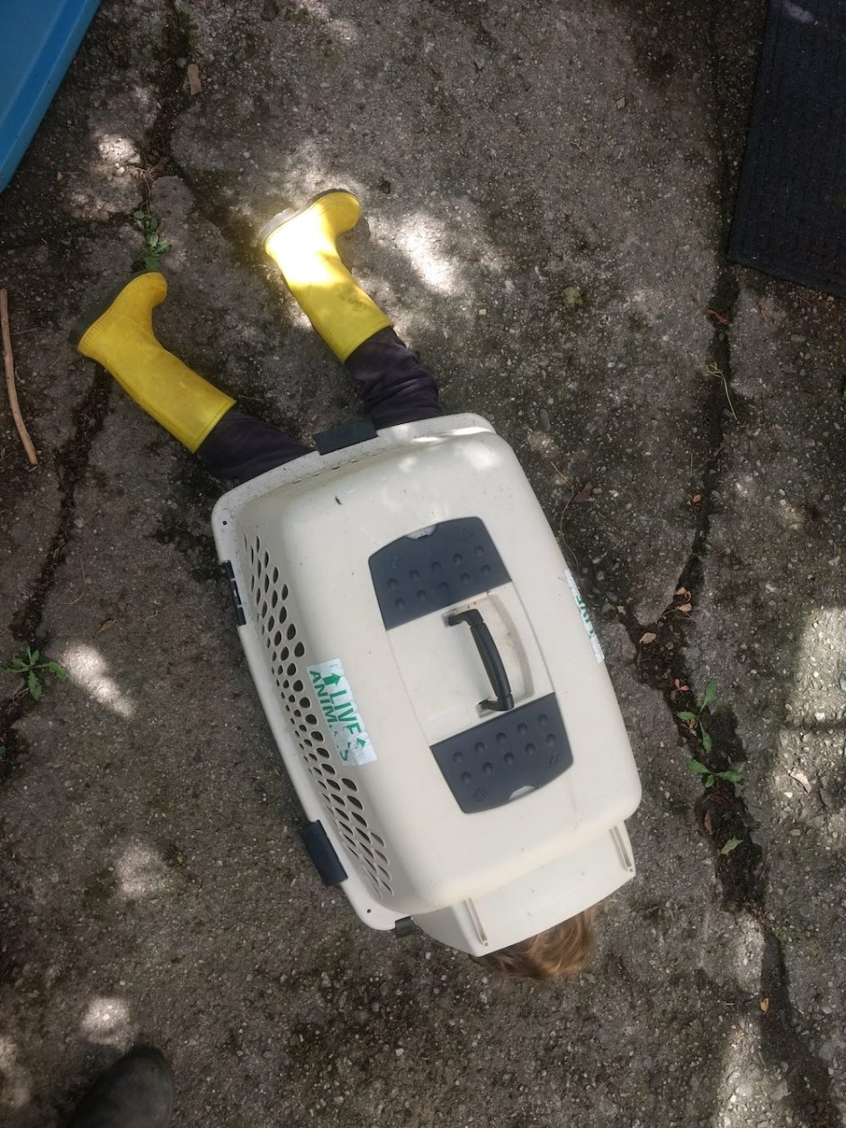 15_BL_kidincrate copy