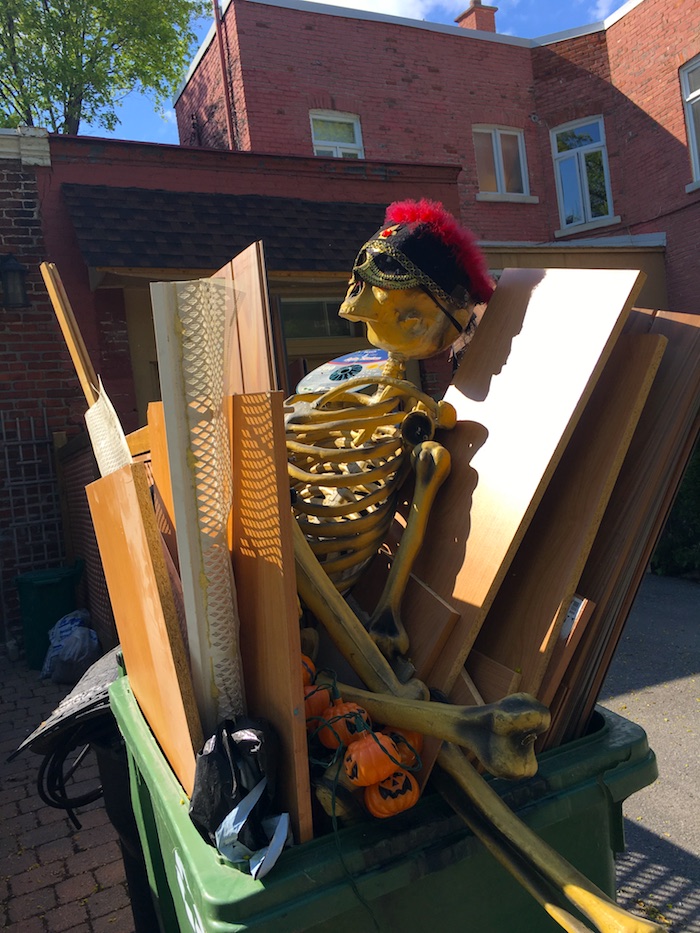 24_SAD_Skeleton_Dorner