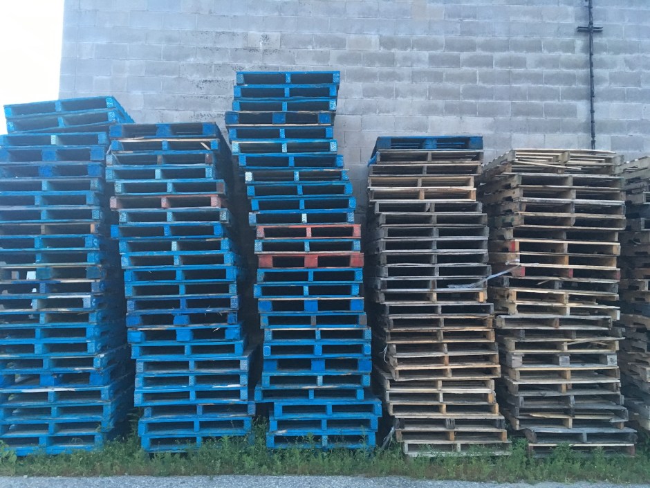 31_TerriWhetstoneSAD_2Oct2019JPG