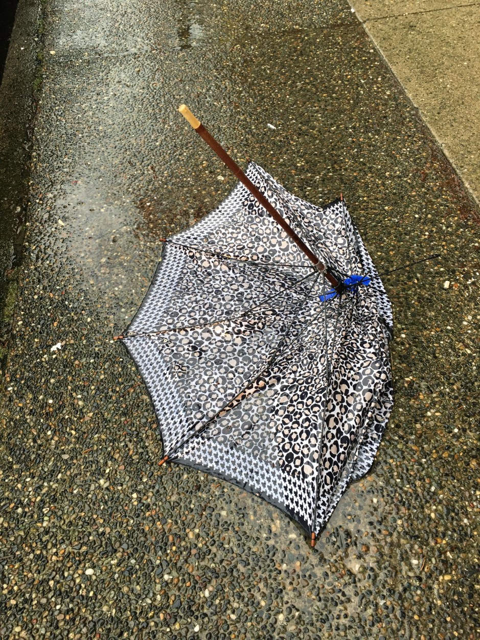 18_Sg_umbrella