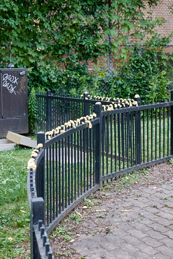 31_SL_540IMG_2019_07_19_4344_2019