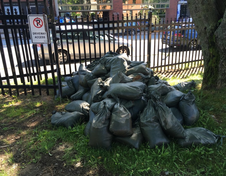 01_TerriWhetstoneSADAug2019_1