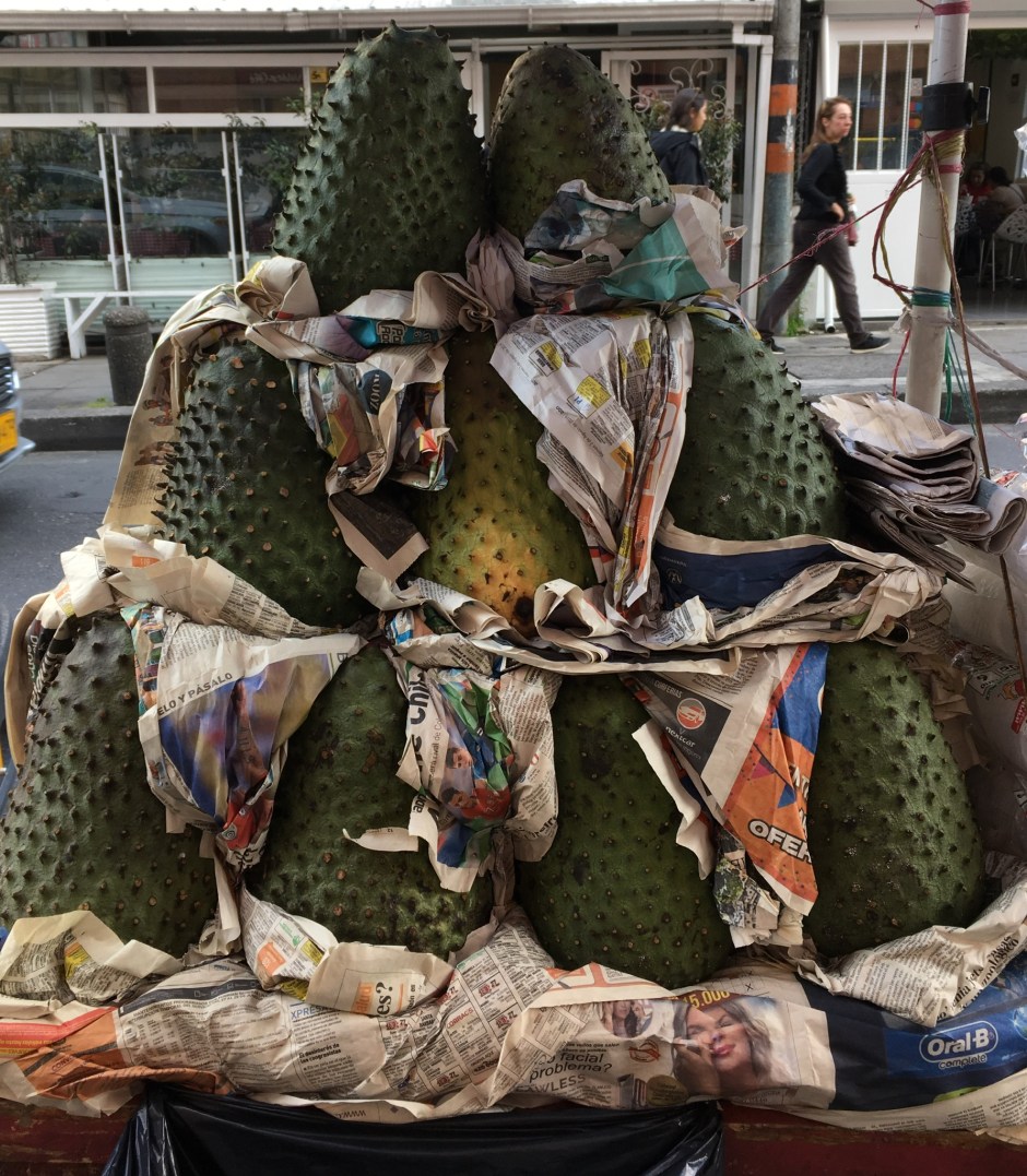 03_fruit_newspaper_Jpartaik