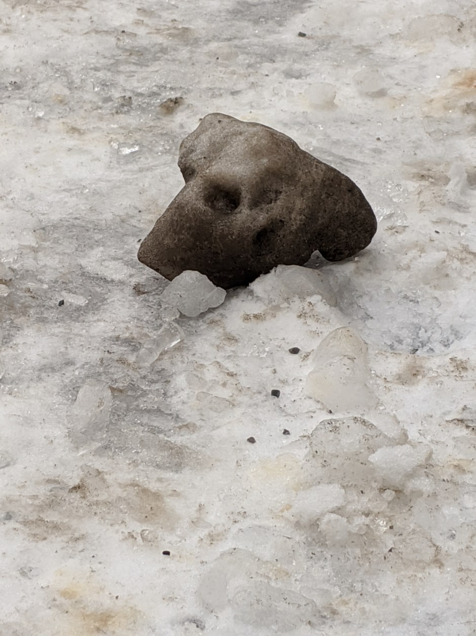 22_Catherine_thorney_skull