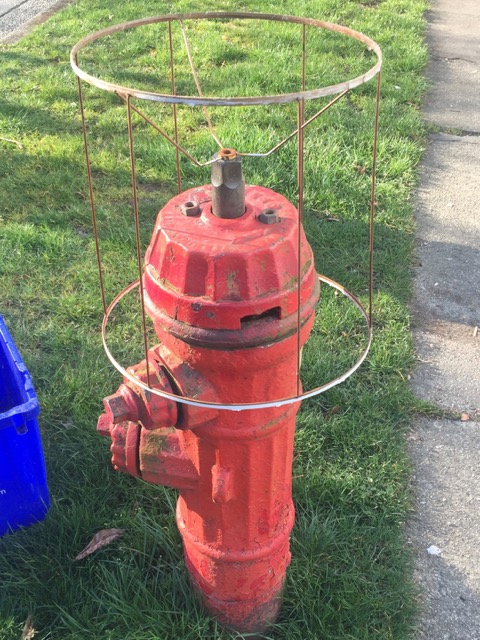 19_222 Life of the Party-GS