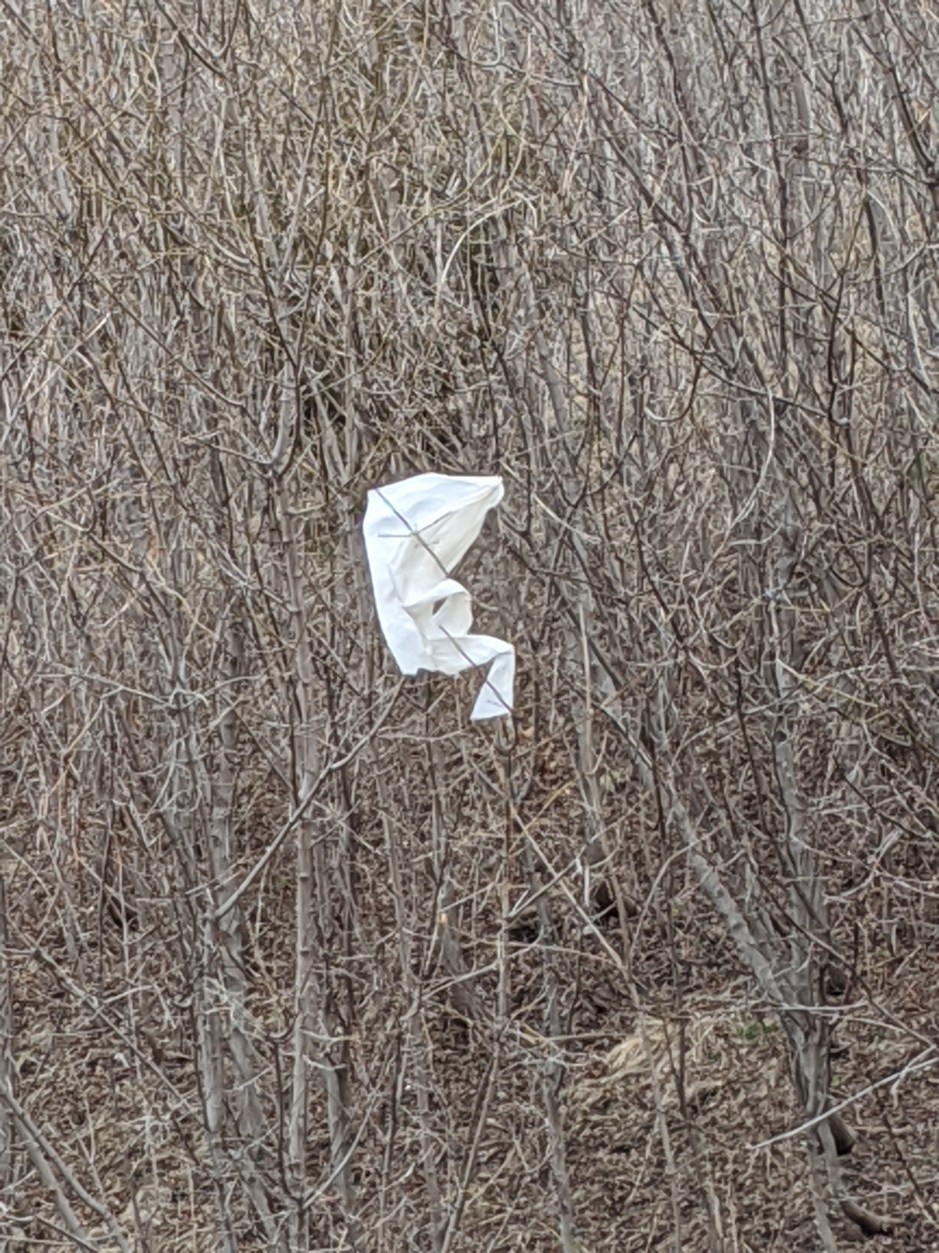 08_catherine_carmichael_bag