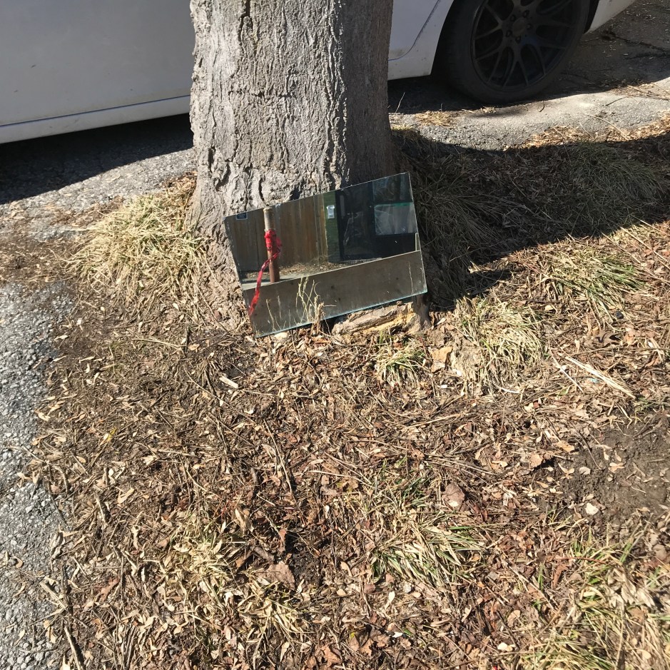 09_Christof_IMG_6451