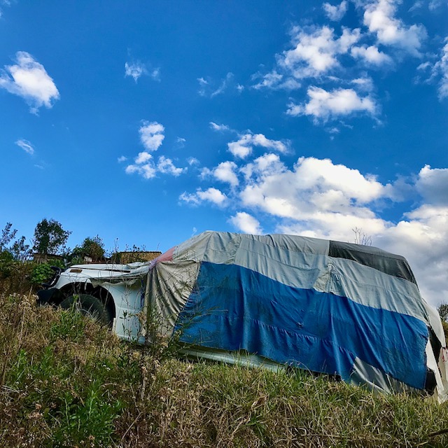 14_Marnie_fleming_tarp