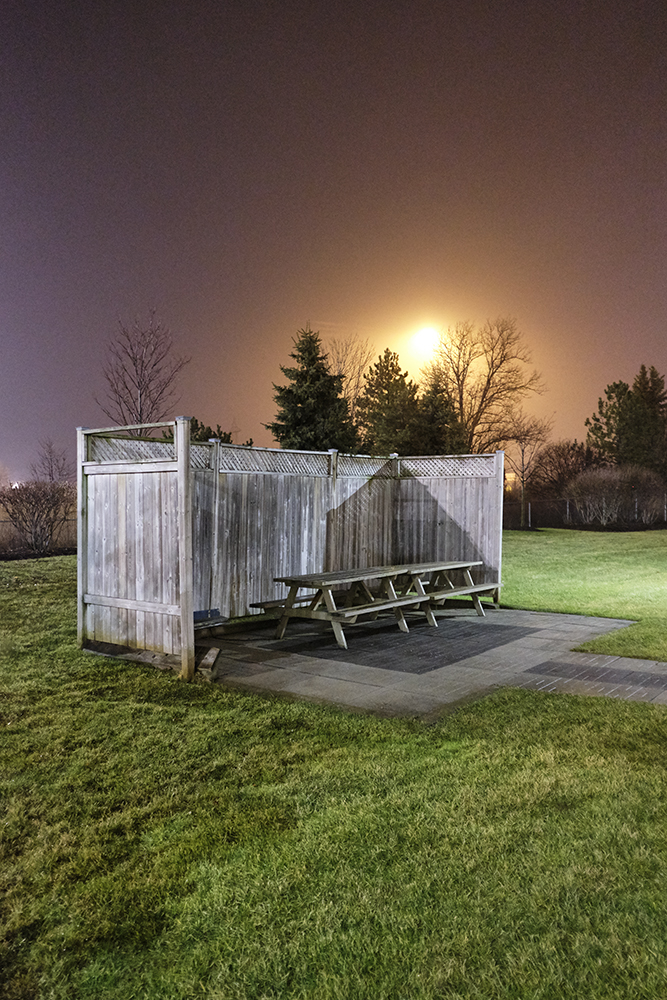 18_SL_524DSCF9023_2020