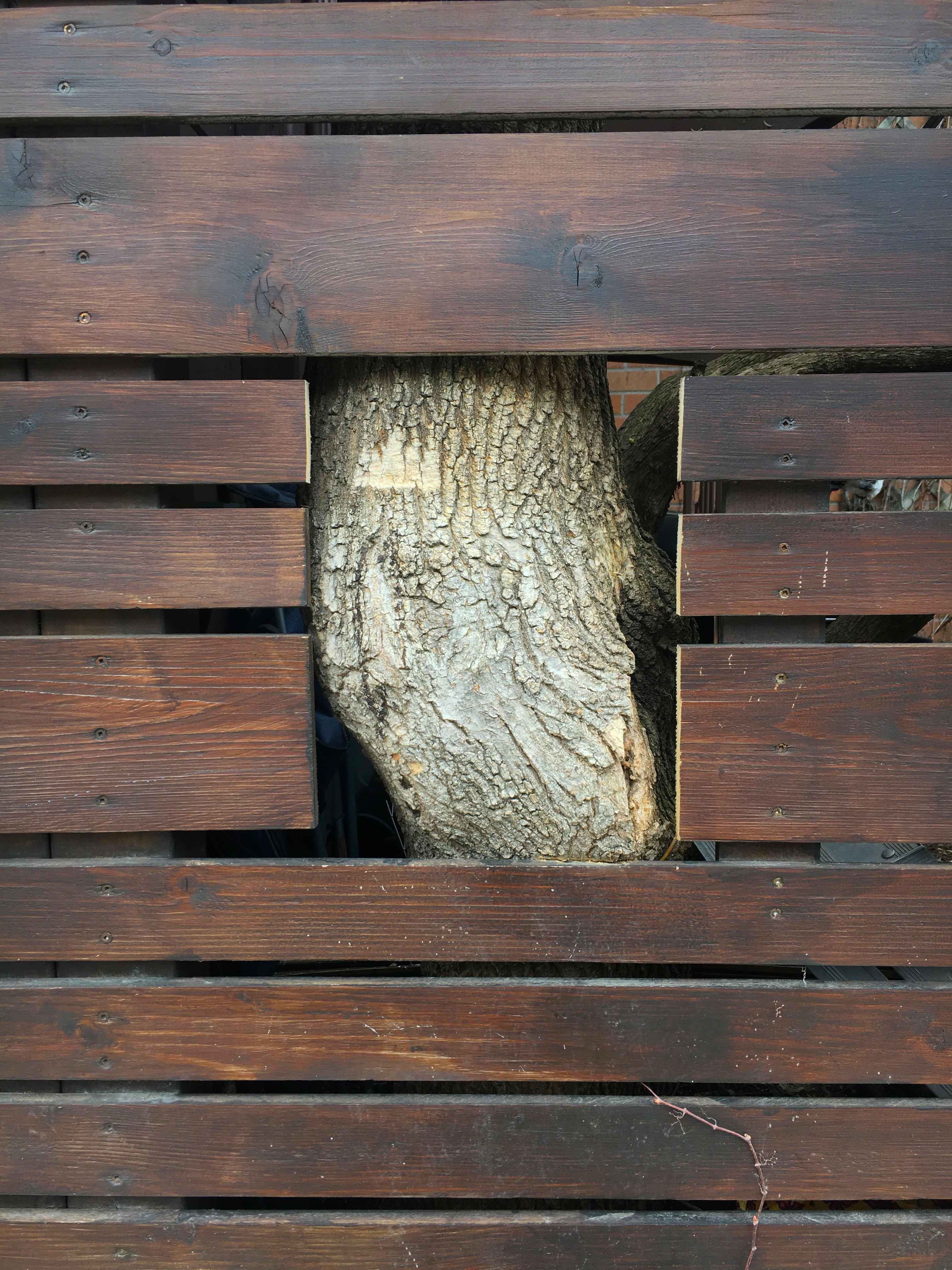 05_SAD_Square_Tree_Dorner