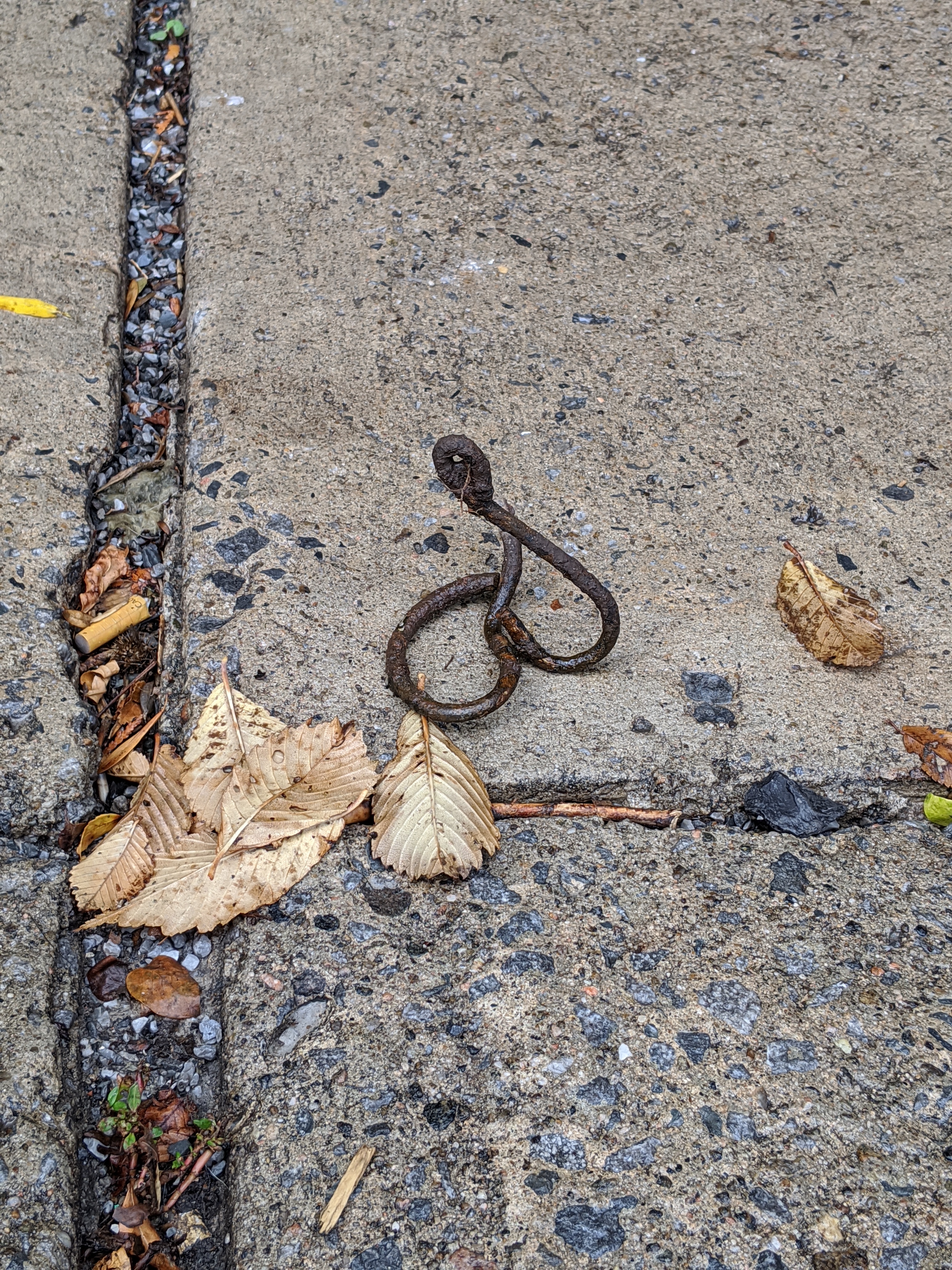 09_Catherine_carmichael