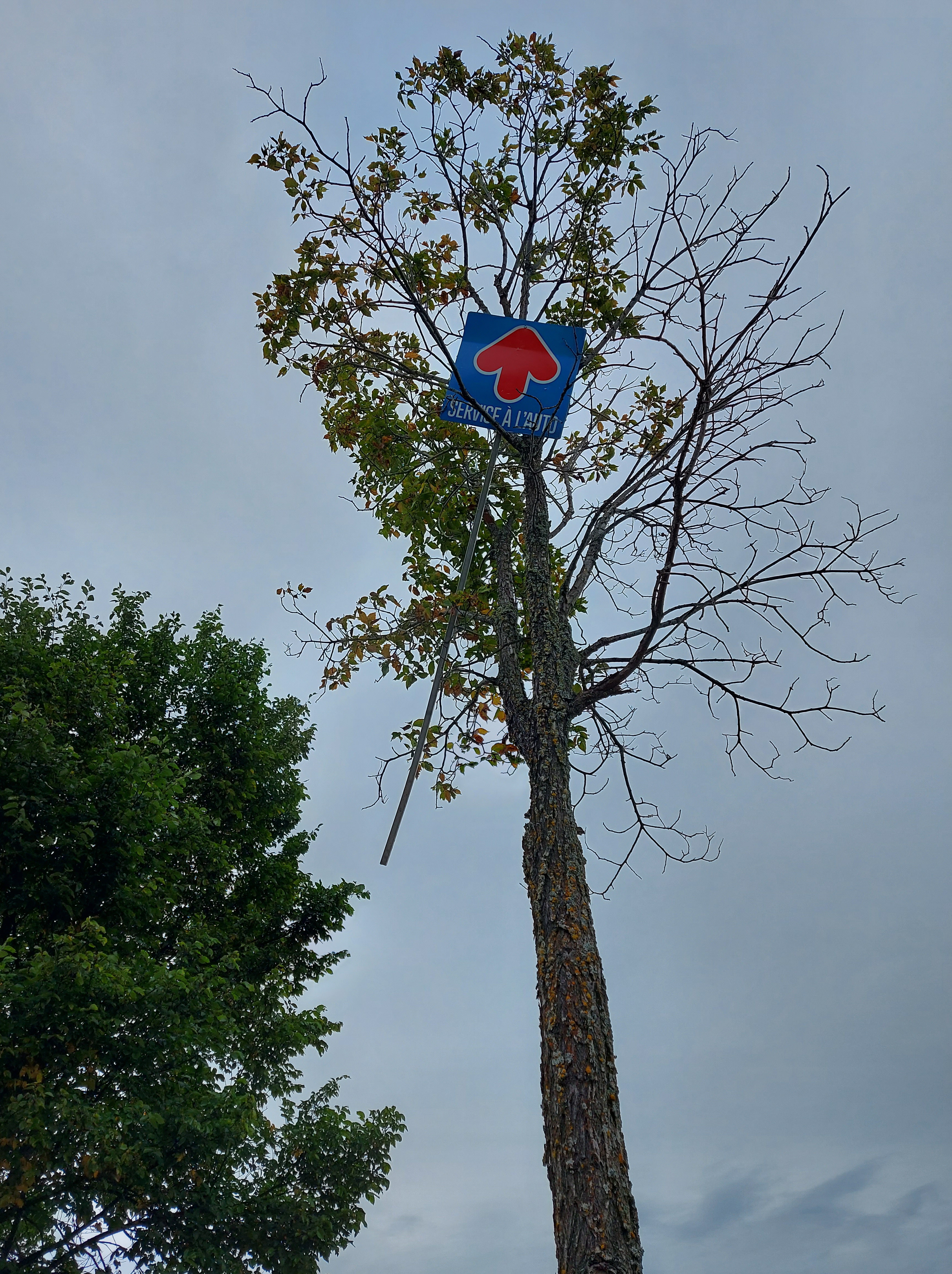 18_Jean-Felix Landry_SAD_03