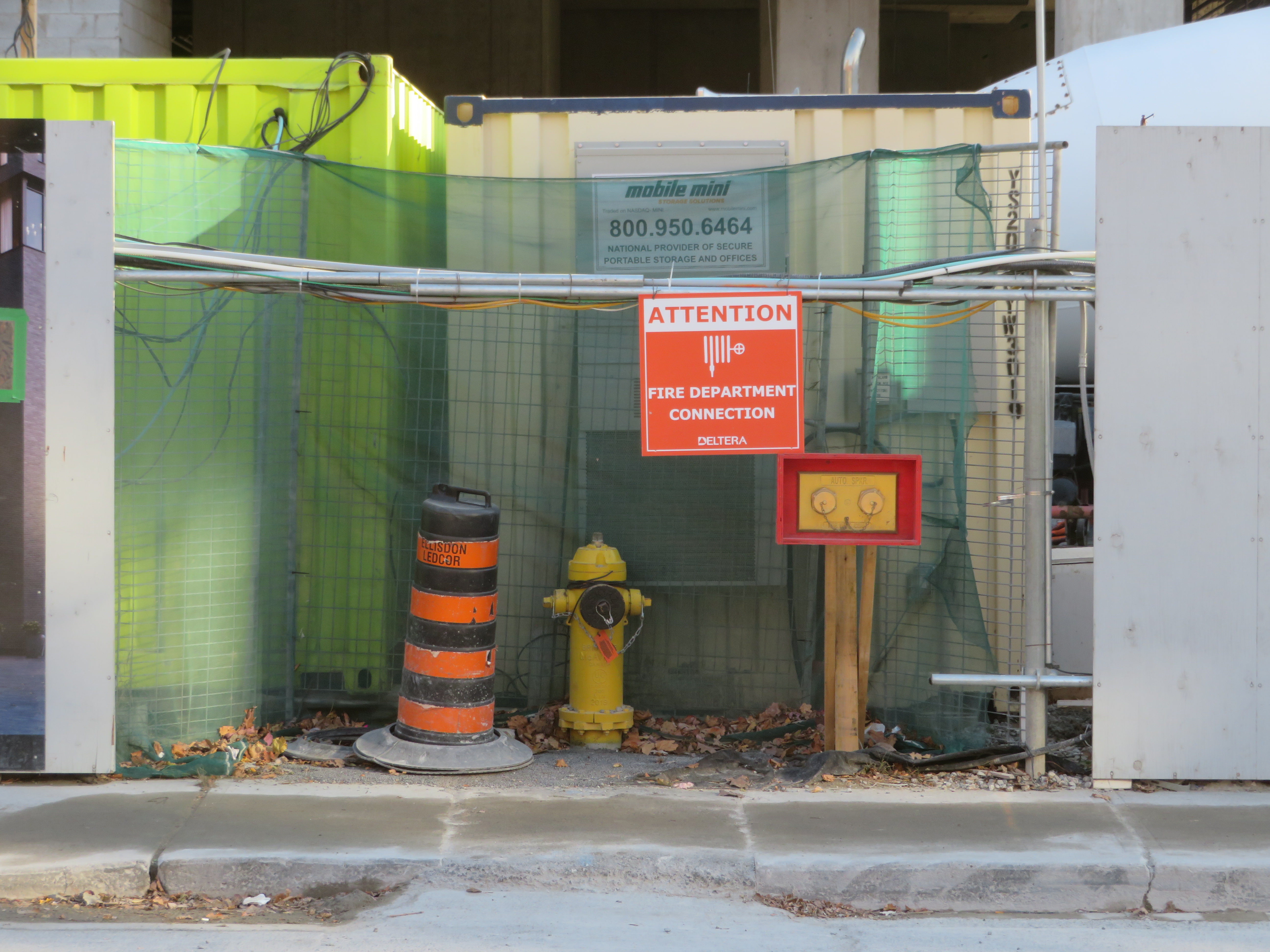 08_adam lauder_attentionjpg