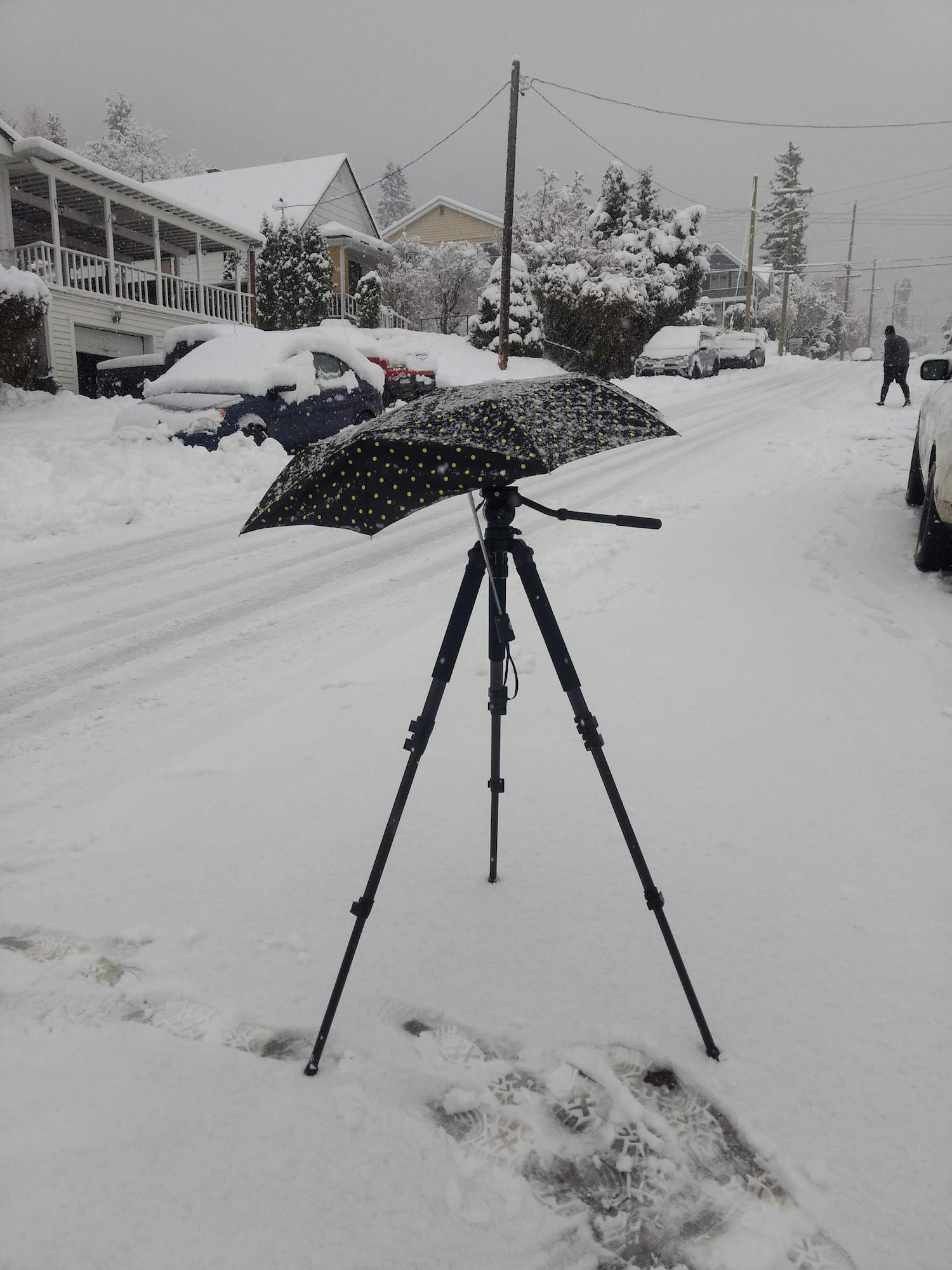 11_BL_DEC_umbrellatripod