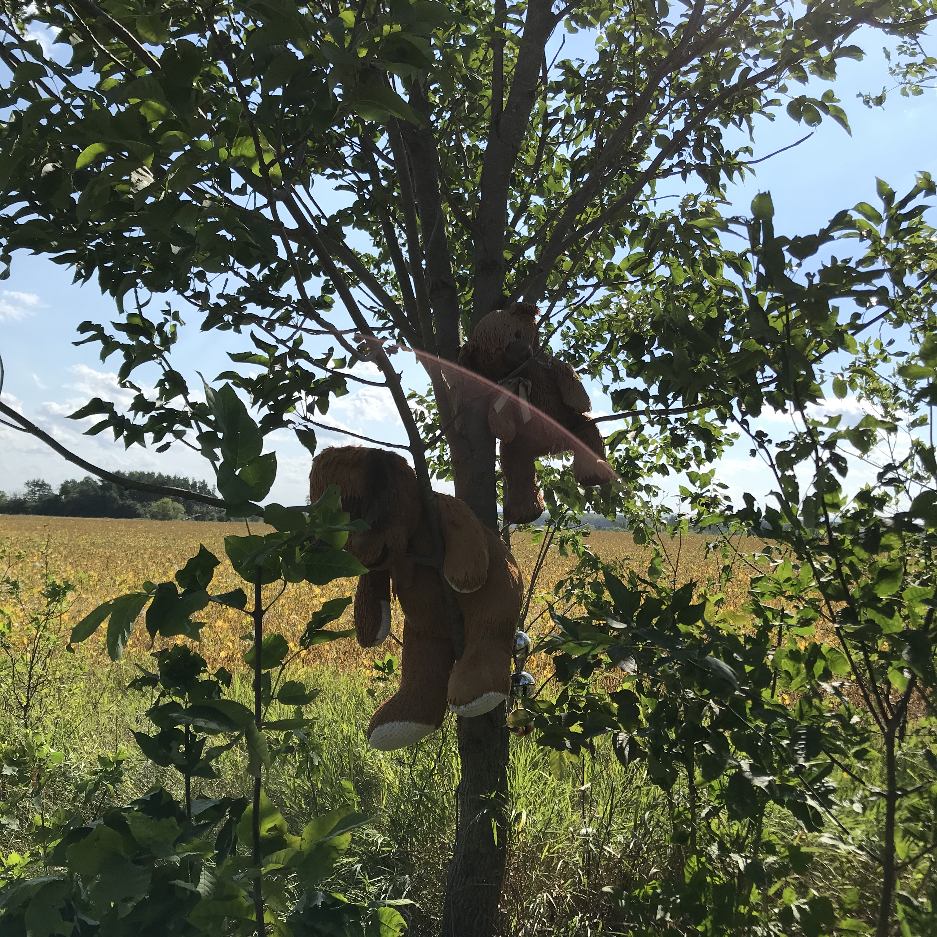 13_Christof_IMG_7486