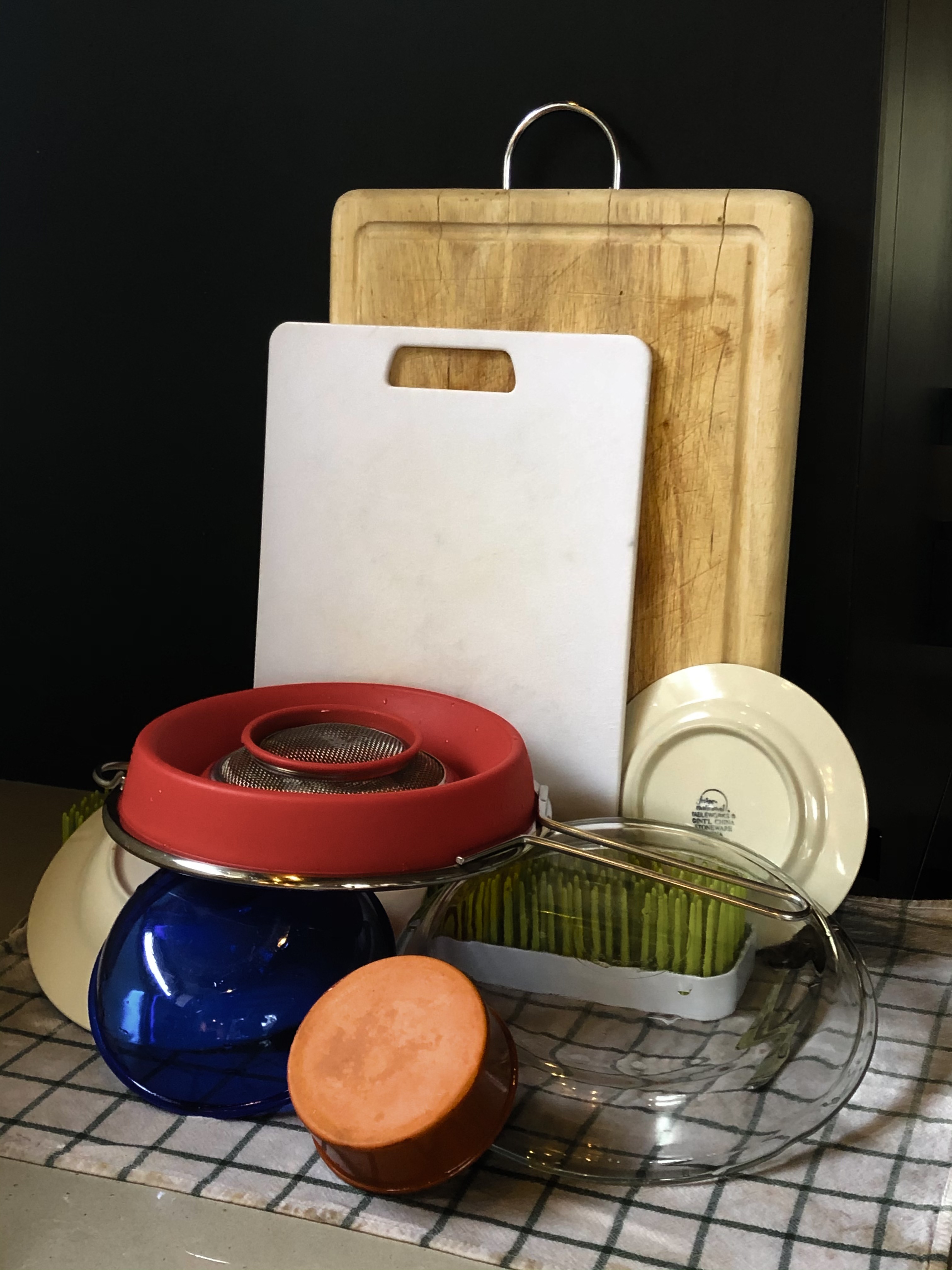 07_Reece terris_still life