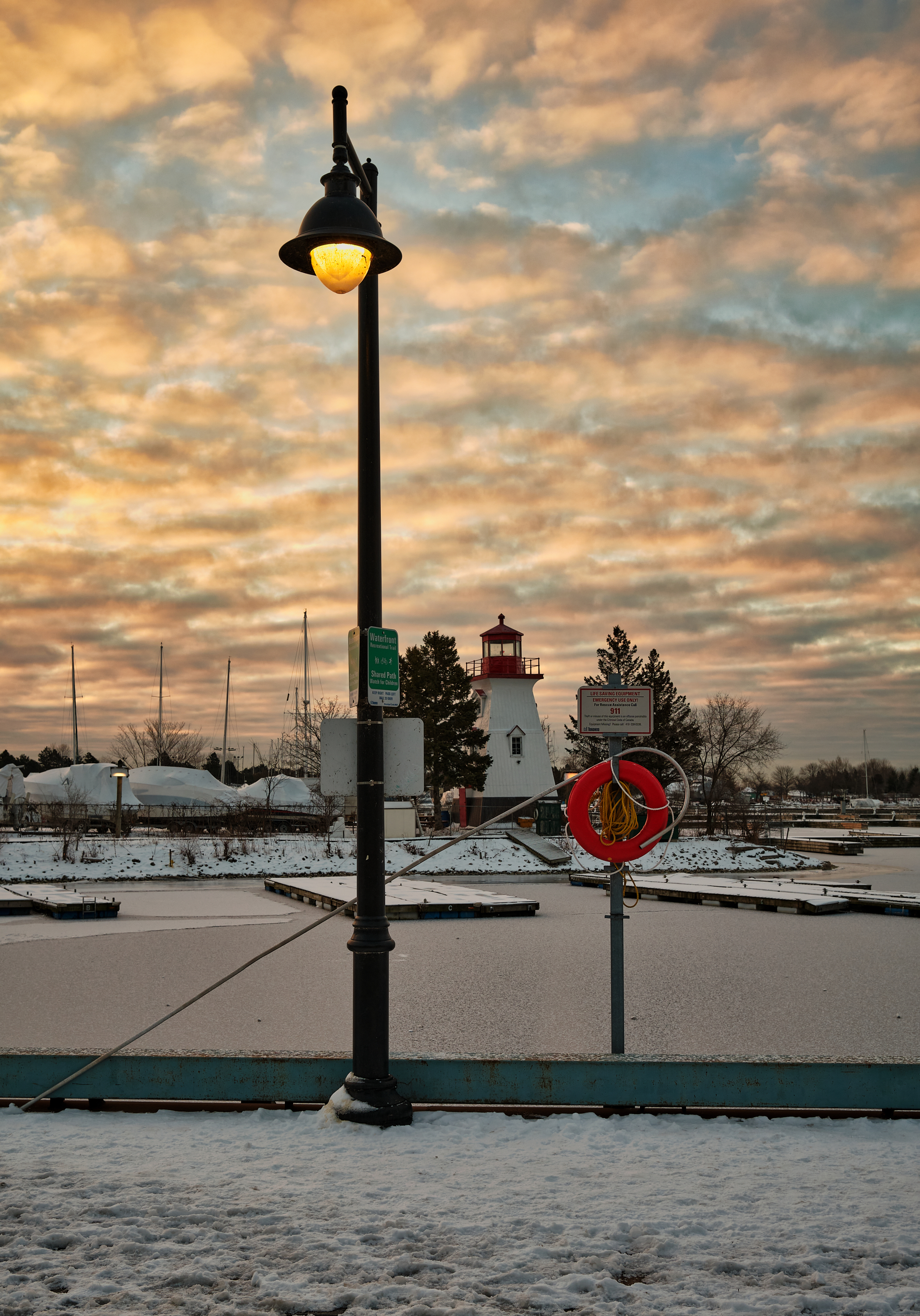 25_nikola_danaylov_curve