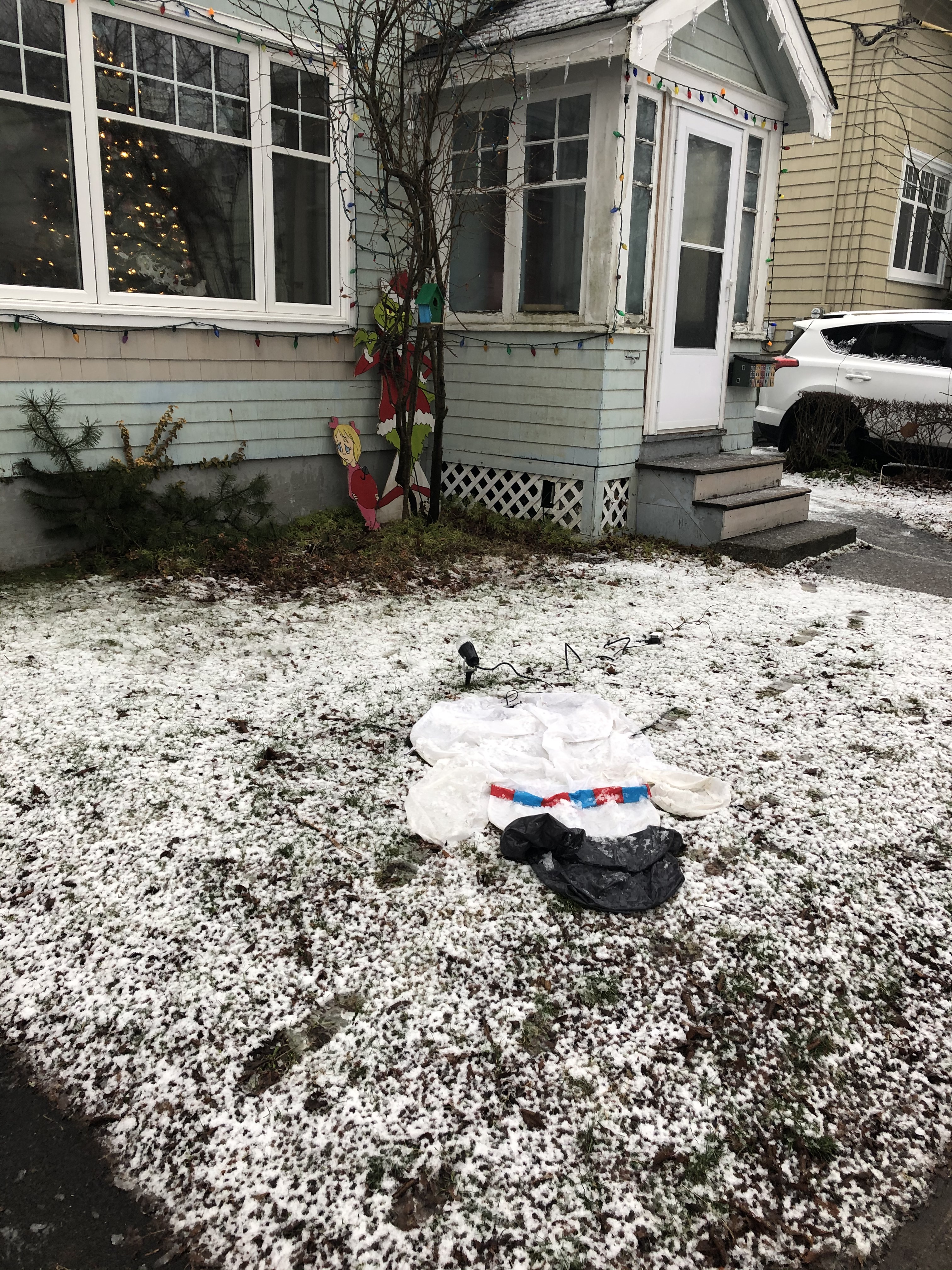 08_mccormacksoggysnowman