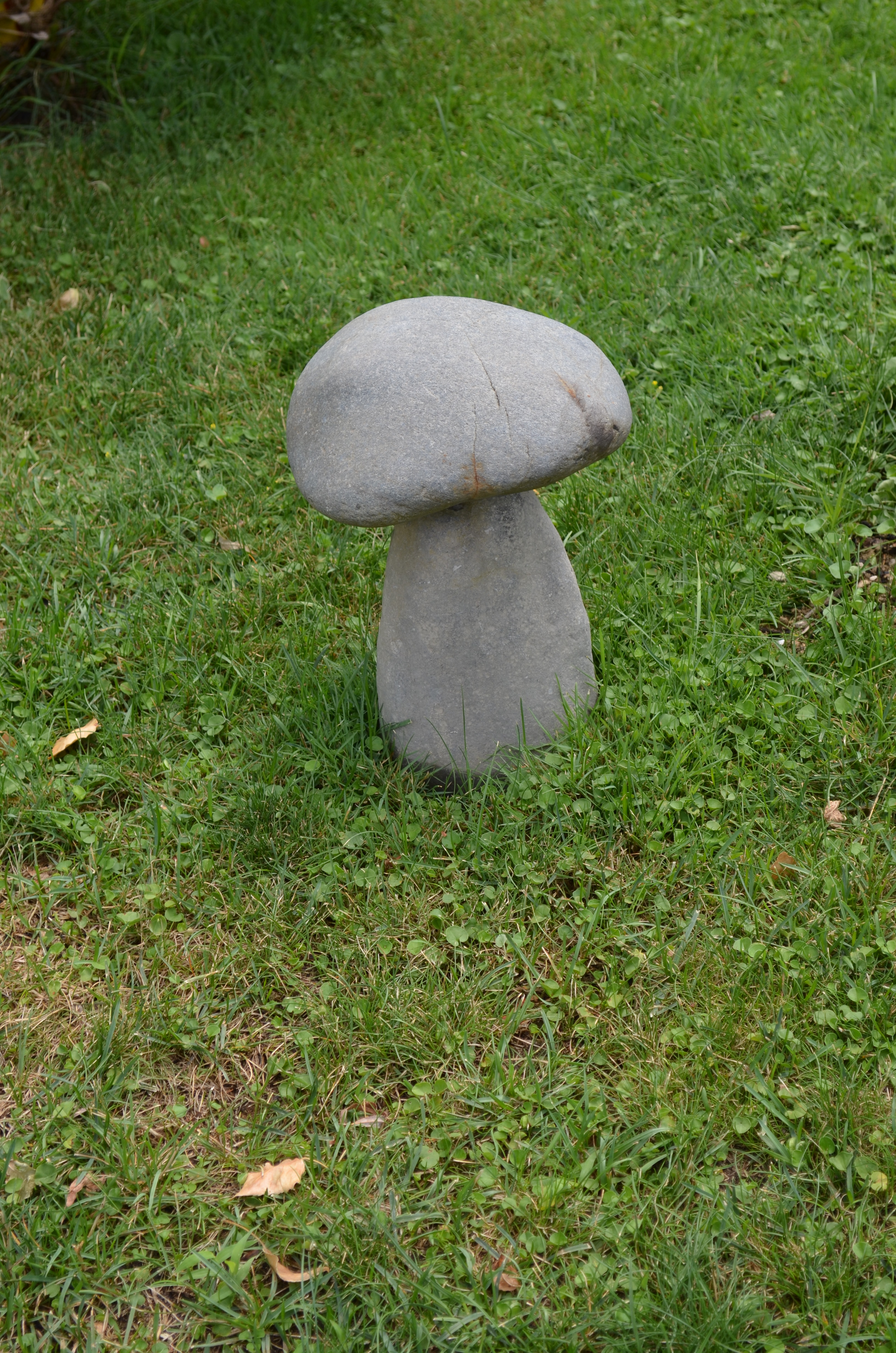 31_alice_sottani_mushroom